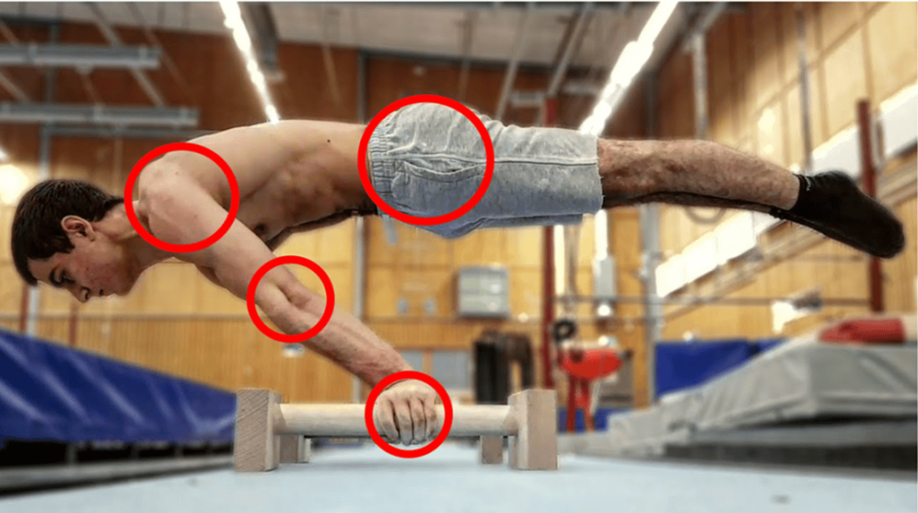 Correct posture for the full planche