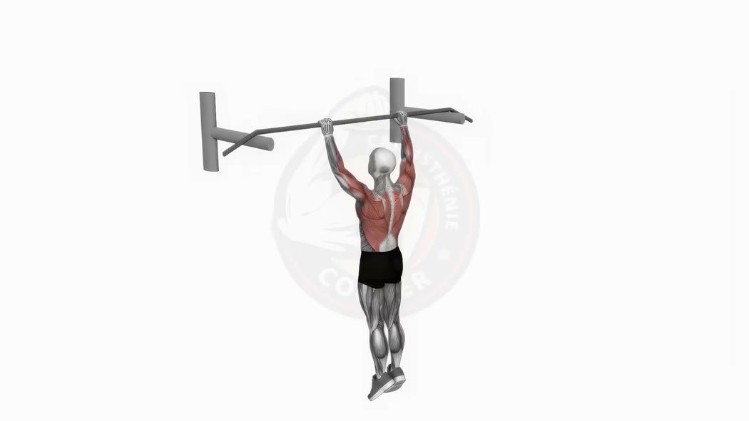Muscle up demonstration
