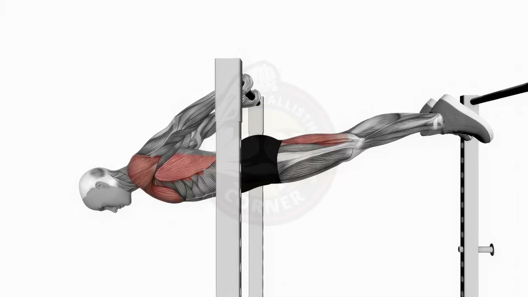 Back Lever: Complete Guide
