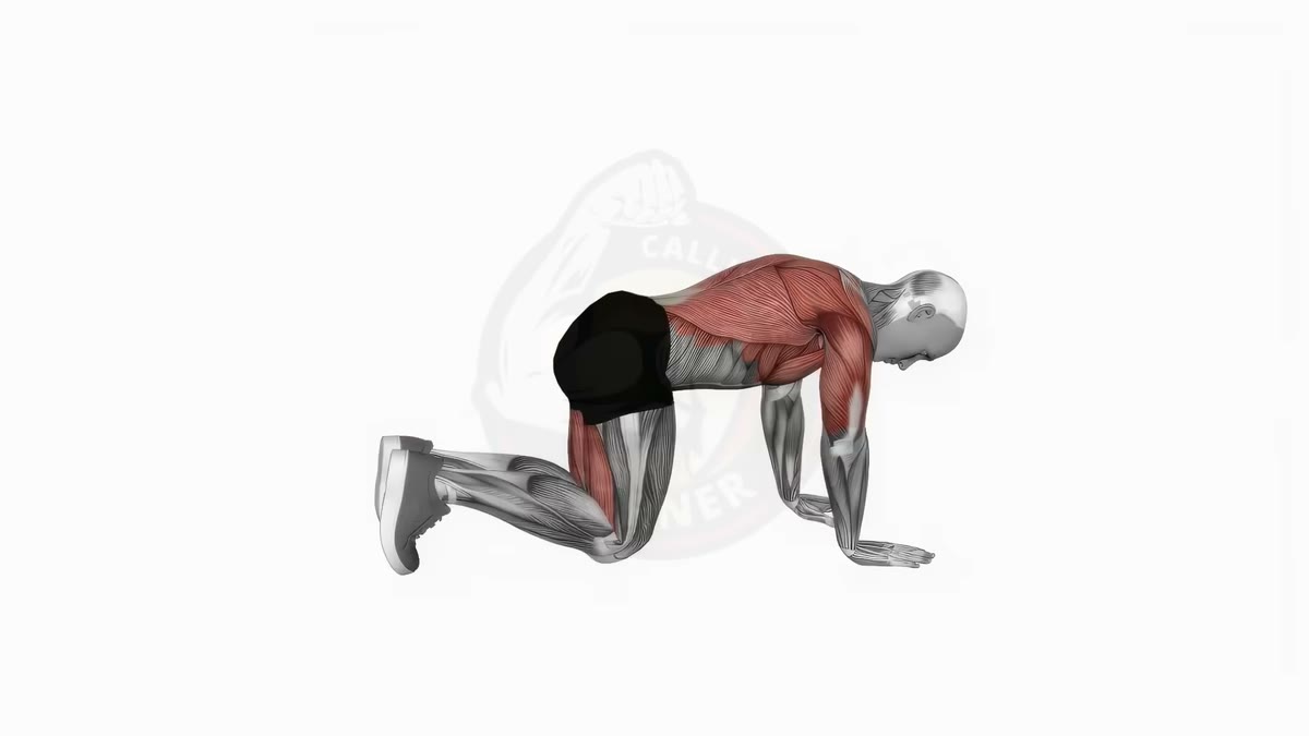 Bird Dog: Core Exercise for a Stronger Back