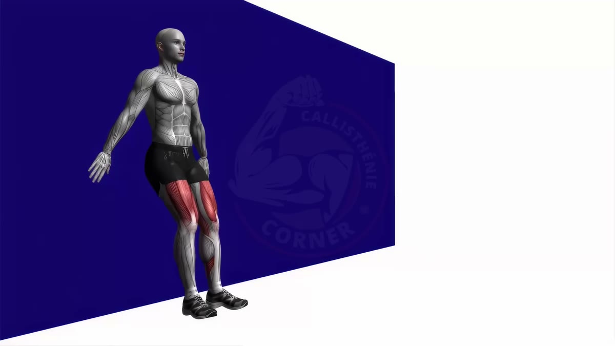 Wall Sit: Technique, Variations and Progression for Stronger Legs