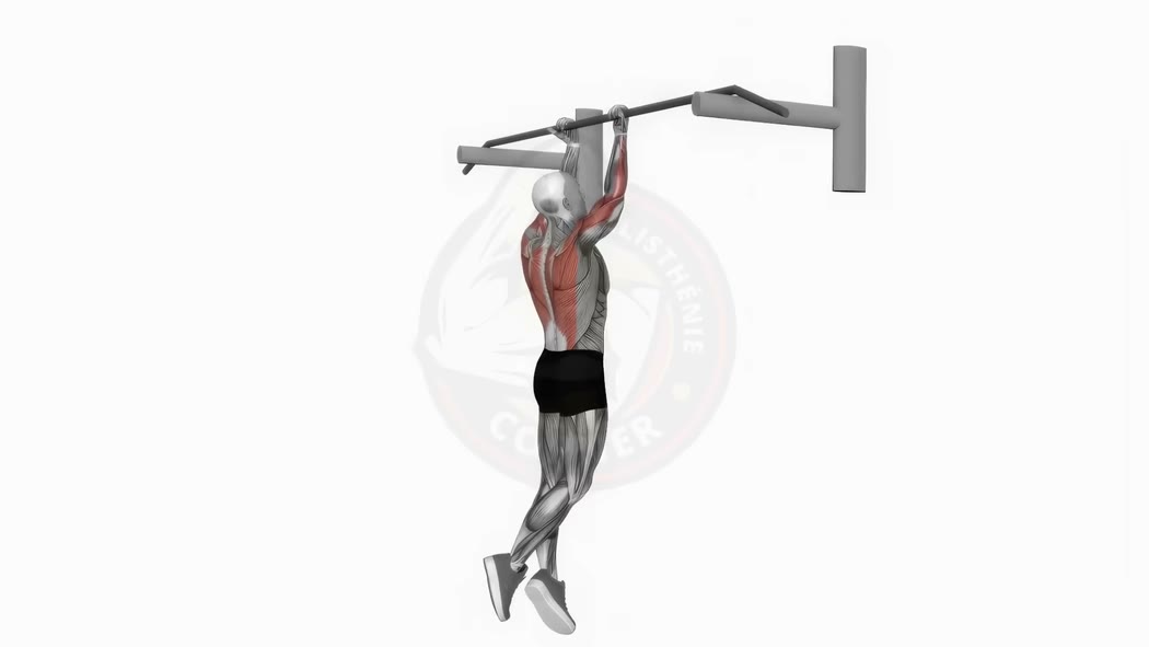 Pull-up vs Chin-up: Which One Should You Choose for a Muscular Back?