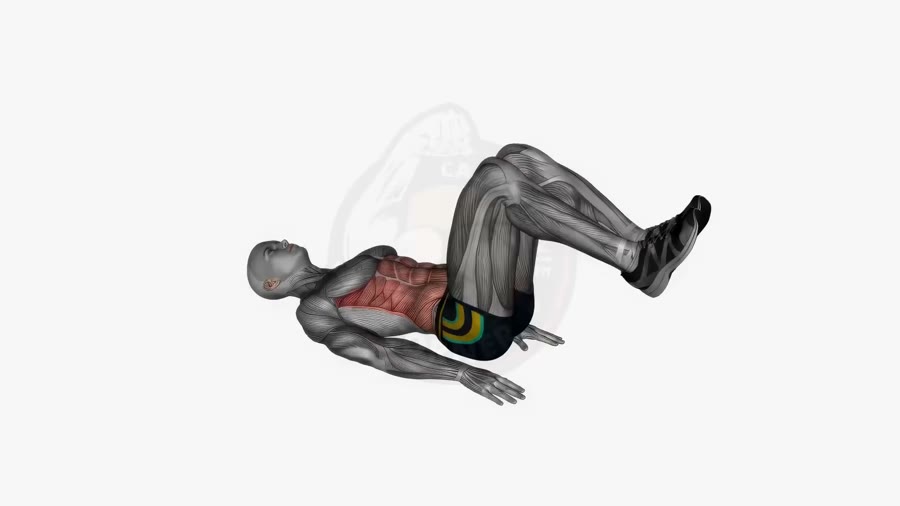 Exercise: Reverse Crunch