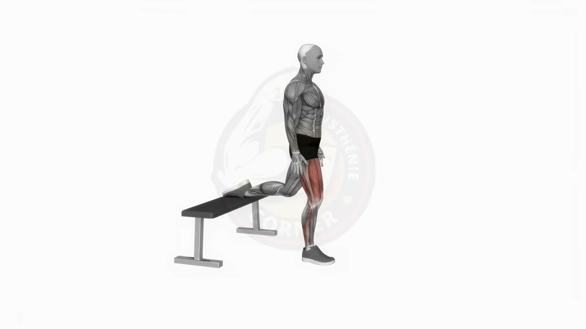 Bulgarian Split Squat: Build Single-Leg Strength and Fix Imbalances