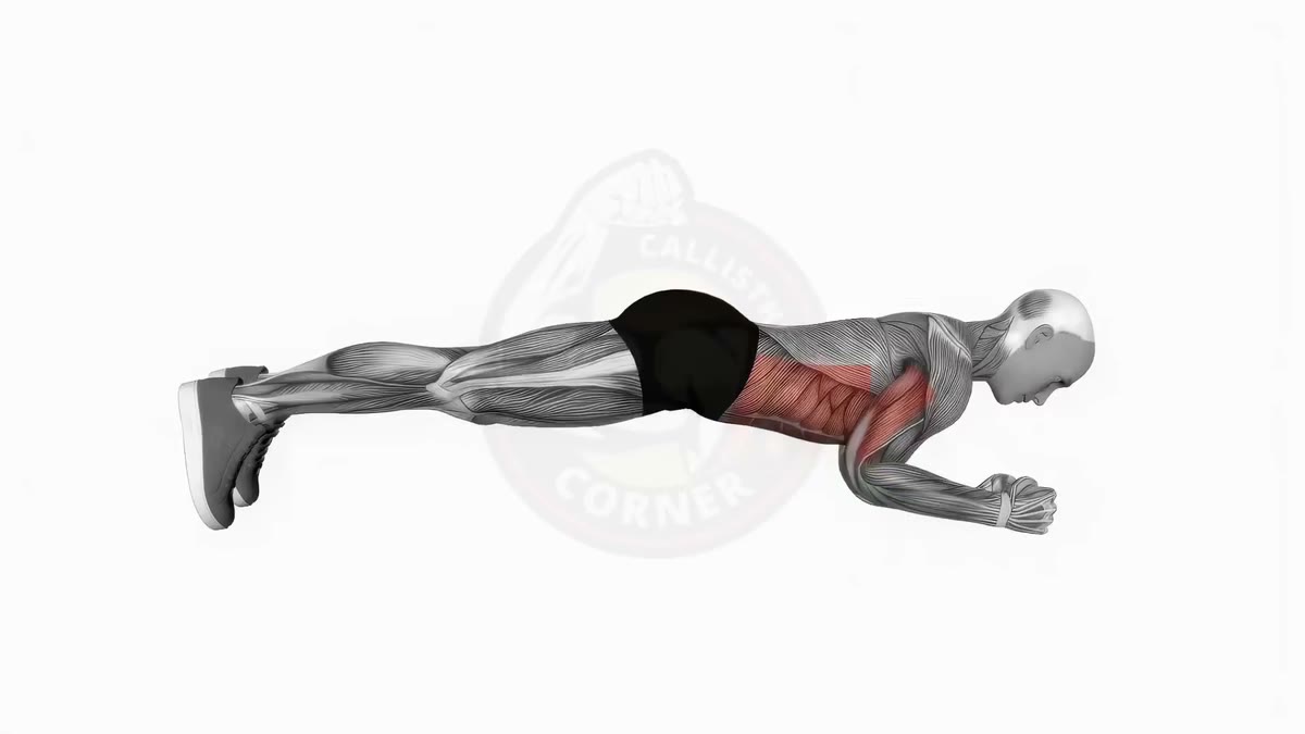 Plank up-down demo: from a forearm plank, press up to a high plank one arm at a time, then lower back down