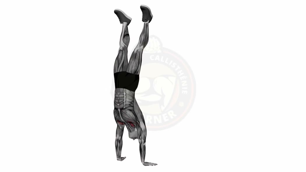 Handstand: Complete Guide