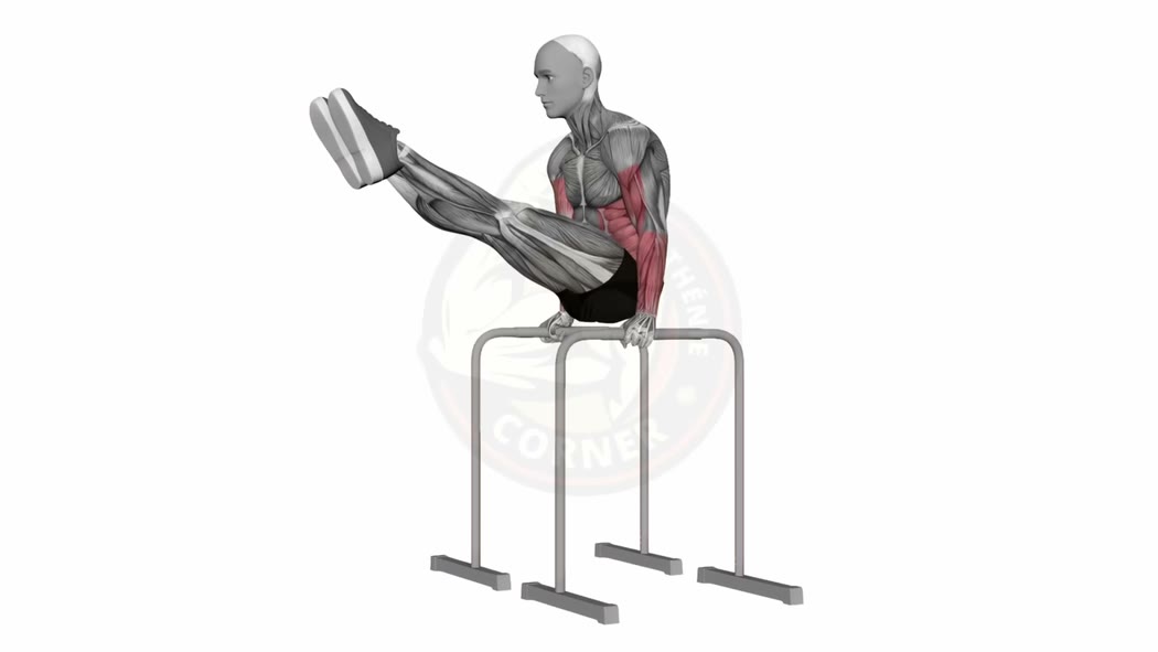 L-Sit: Complete Guide