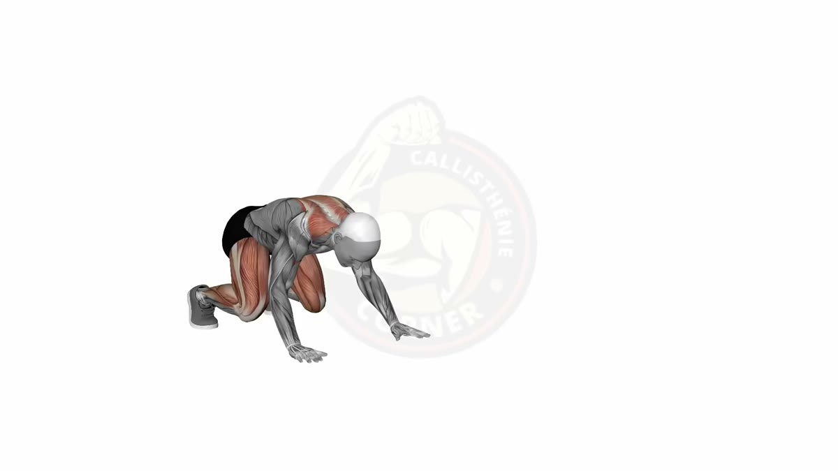 Bear Crawl: The Complete Full-Body Exercise You Need to Master