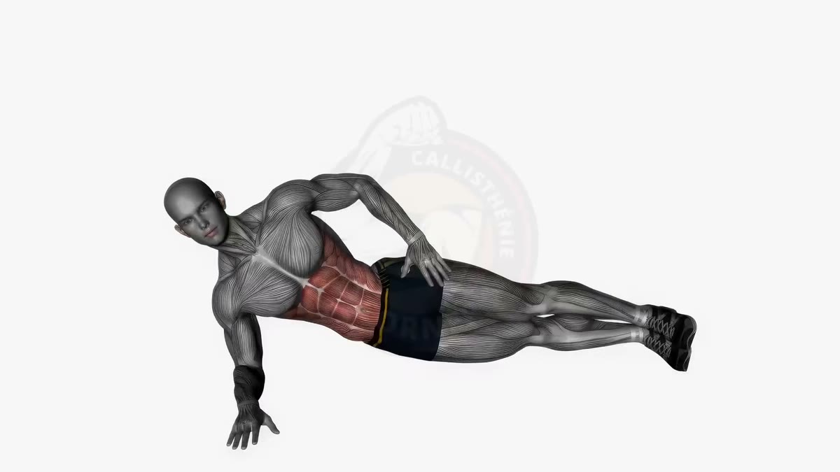 Oblique exercises with no equipment: build your obliques at home