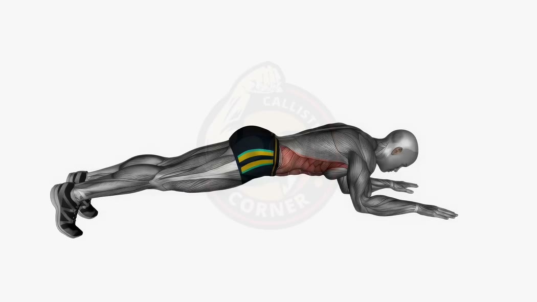 Plank: The Essential Core Exercise for a Stronger Body