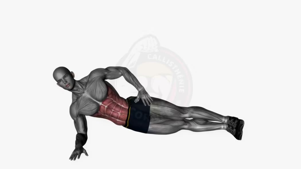 Side Plank: Build Stronger Obliques and Lateral Core Stability