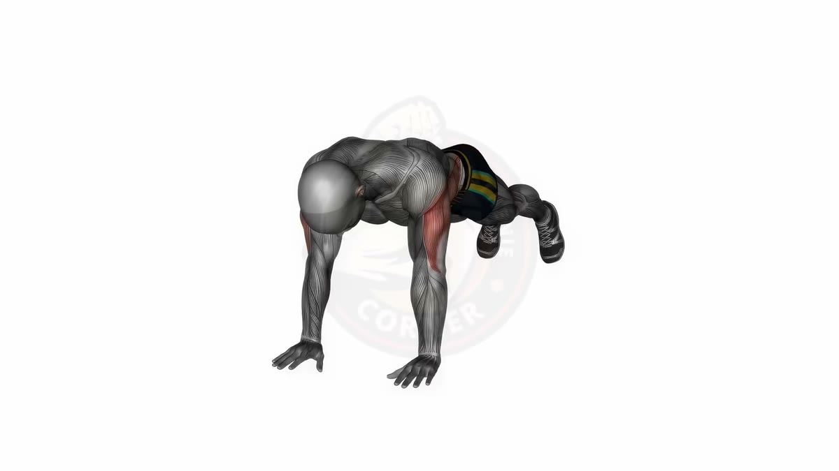 Shoulder Taps: The Anti-Rotation Exercise for Solid Abs