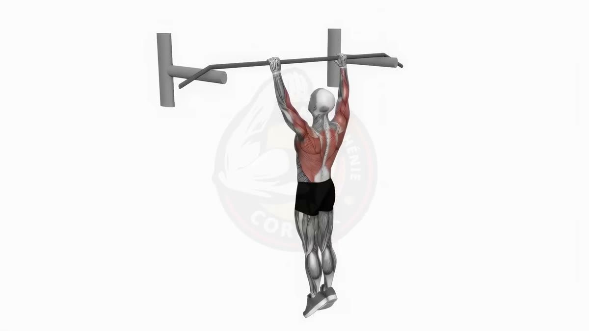 Archer Pull-Ups: Progression, Form & Muscles Worked