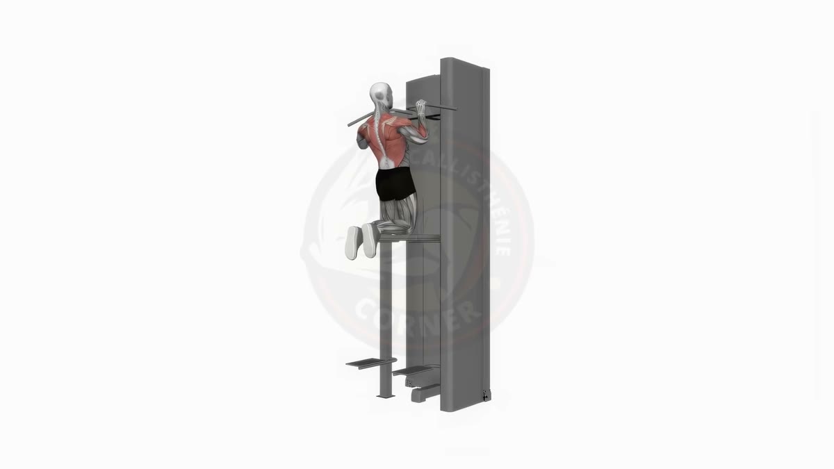 Pull-ups: The Complete Guide to Building a Powerful Back