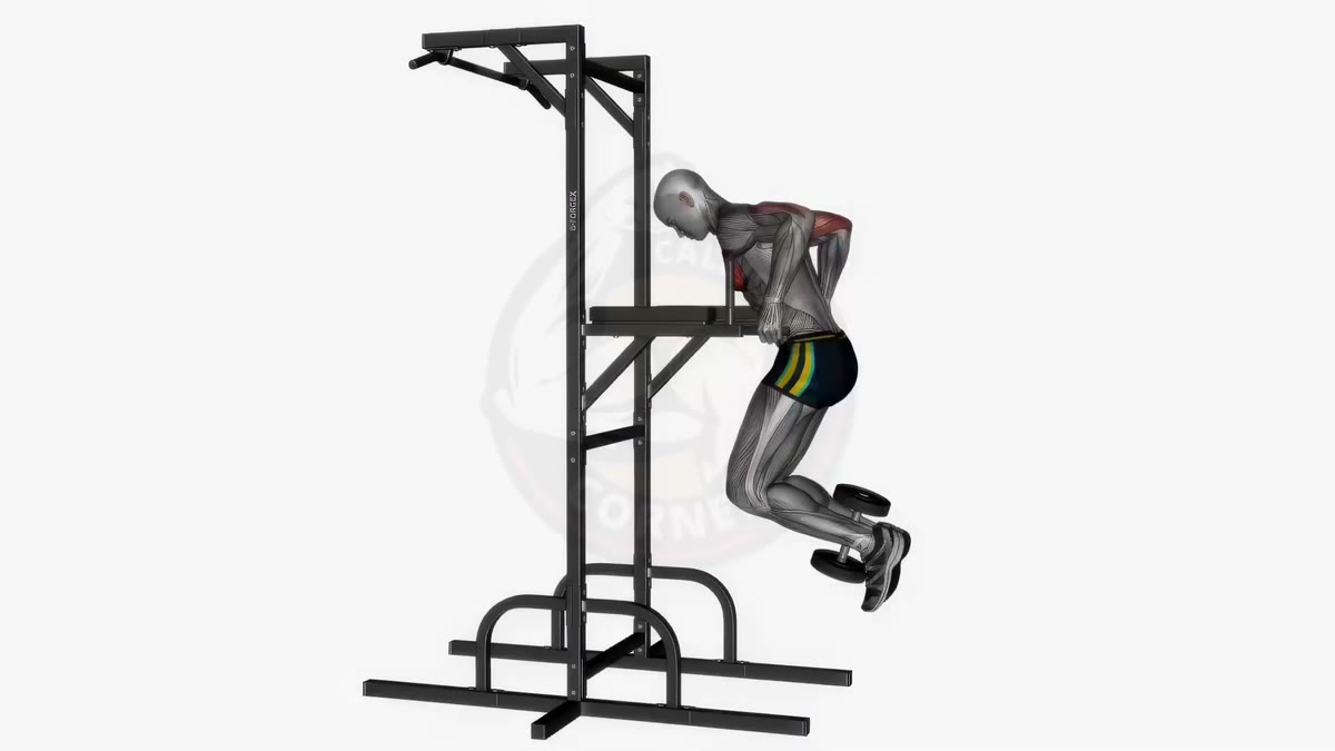 Weighted dips: added load to push heavier