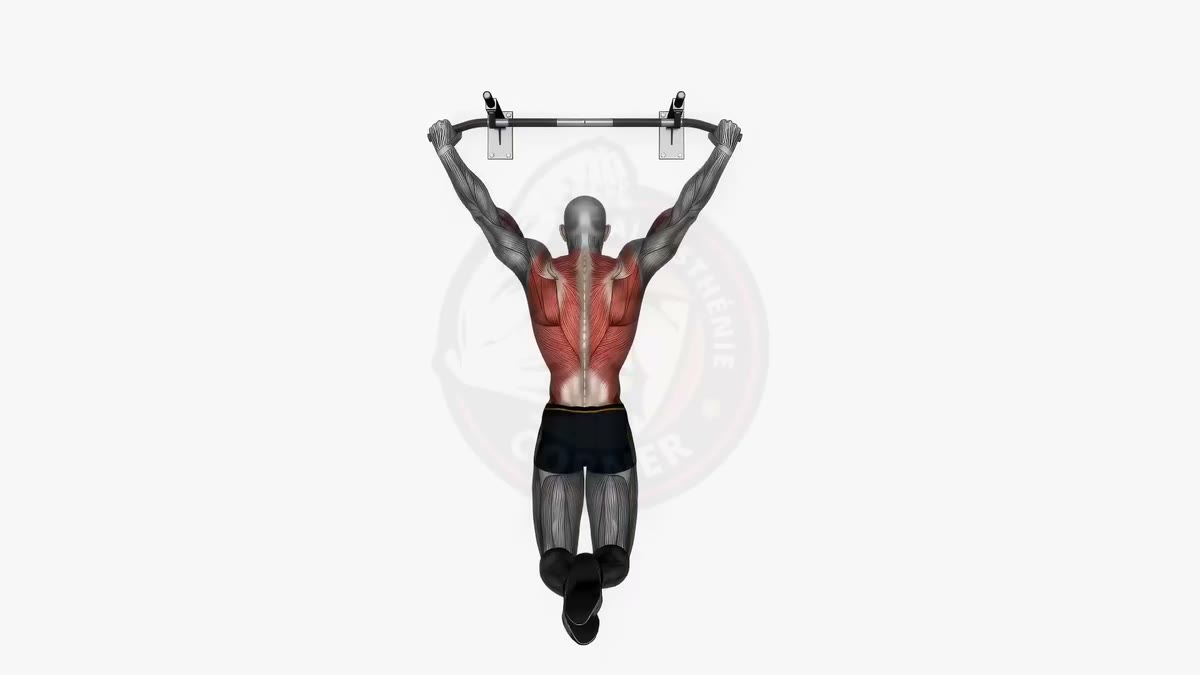 Weighted pull-ups: added load for a stronger back